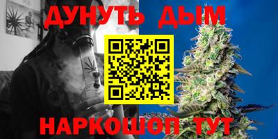 гидра Будённовск