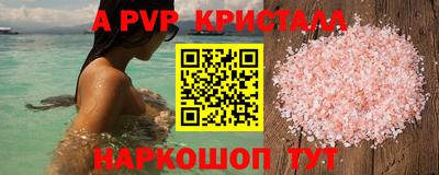 гидра Будённовск