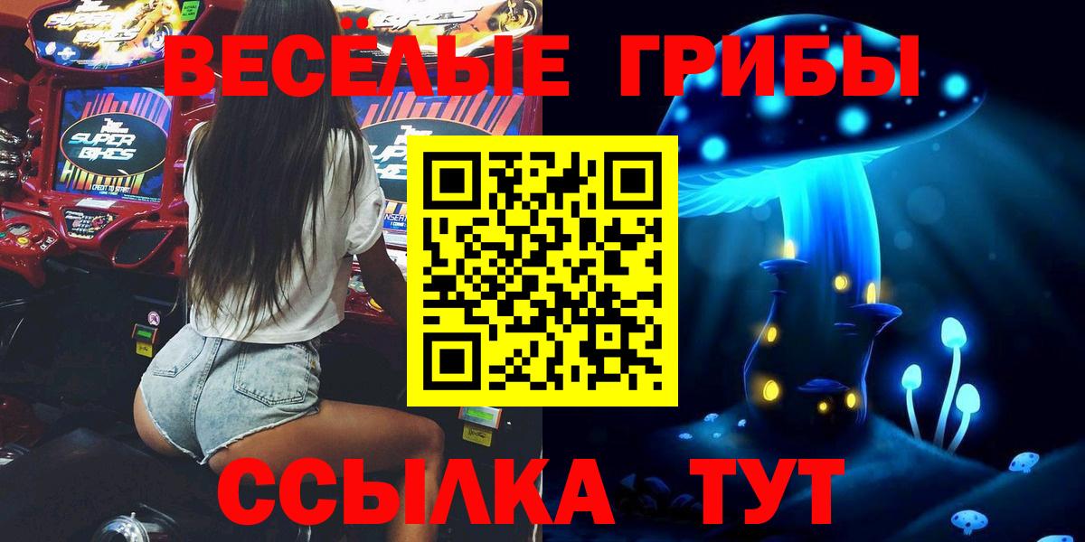 Псилоцибиновые грибы ЛСД  купить   Кудымкар  Вход с VPN 